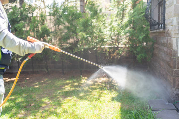 Flea Control Services in Rock Hill, MO